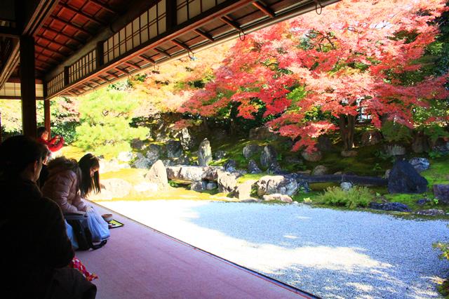 高台寺圓徳院をぶらり 紅葉16 京都に乾杯