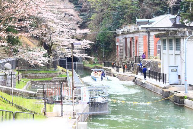 日向大神宮 観光情報 京都に乾杯