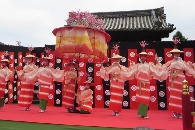 隨心院 随心院 観光情報 京都に乾杯